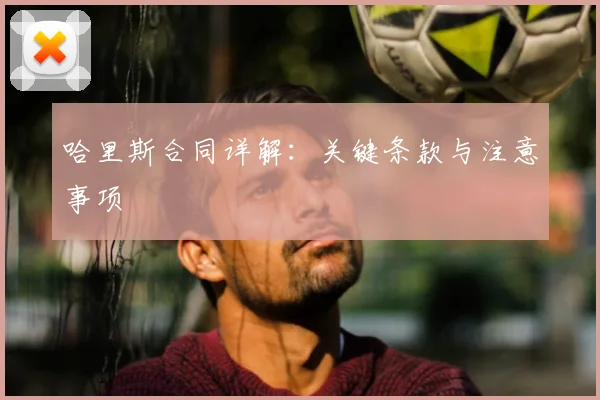哈里斯合同详解：关键条款与注意事项