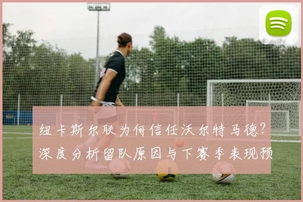 纽卡斯尔联为何信任沃尔特马德？深度分析留队原因与下赛季表现预测