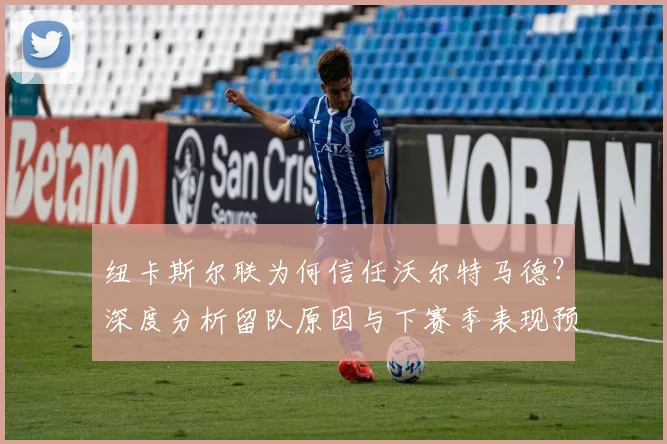 纽卡斯尔联为何信任沃尔特马德？深度分析留队原因与下赛季表现预测