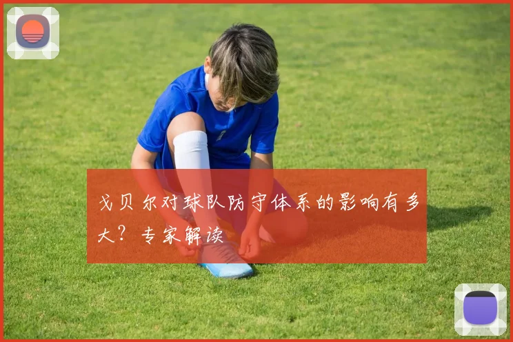 戈贝尔对球队防守体系的影响有多大？专家解读