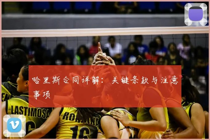 哈里斯合同详解：关键条款与注意事项