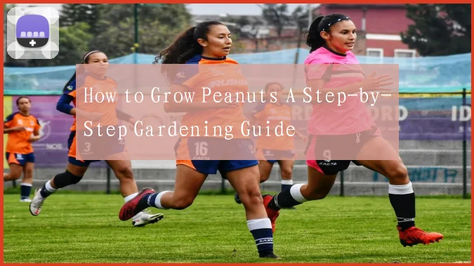 How to Grow Peanuts A Step-by-Step Gardening Guide