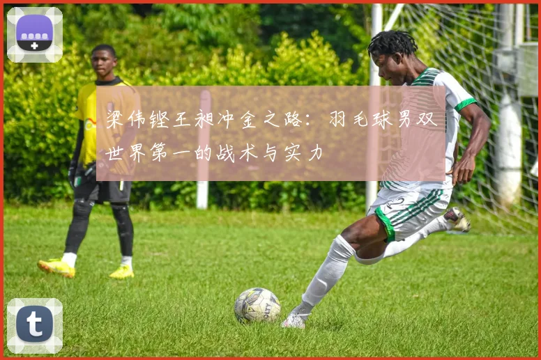 梁伟铿王昶冲金之路：羽毛球男双世界第一的战术与实力